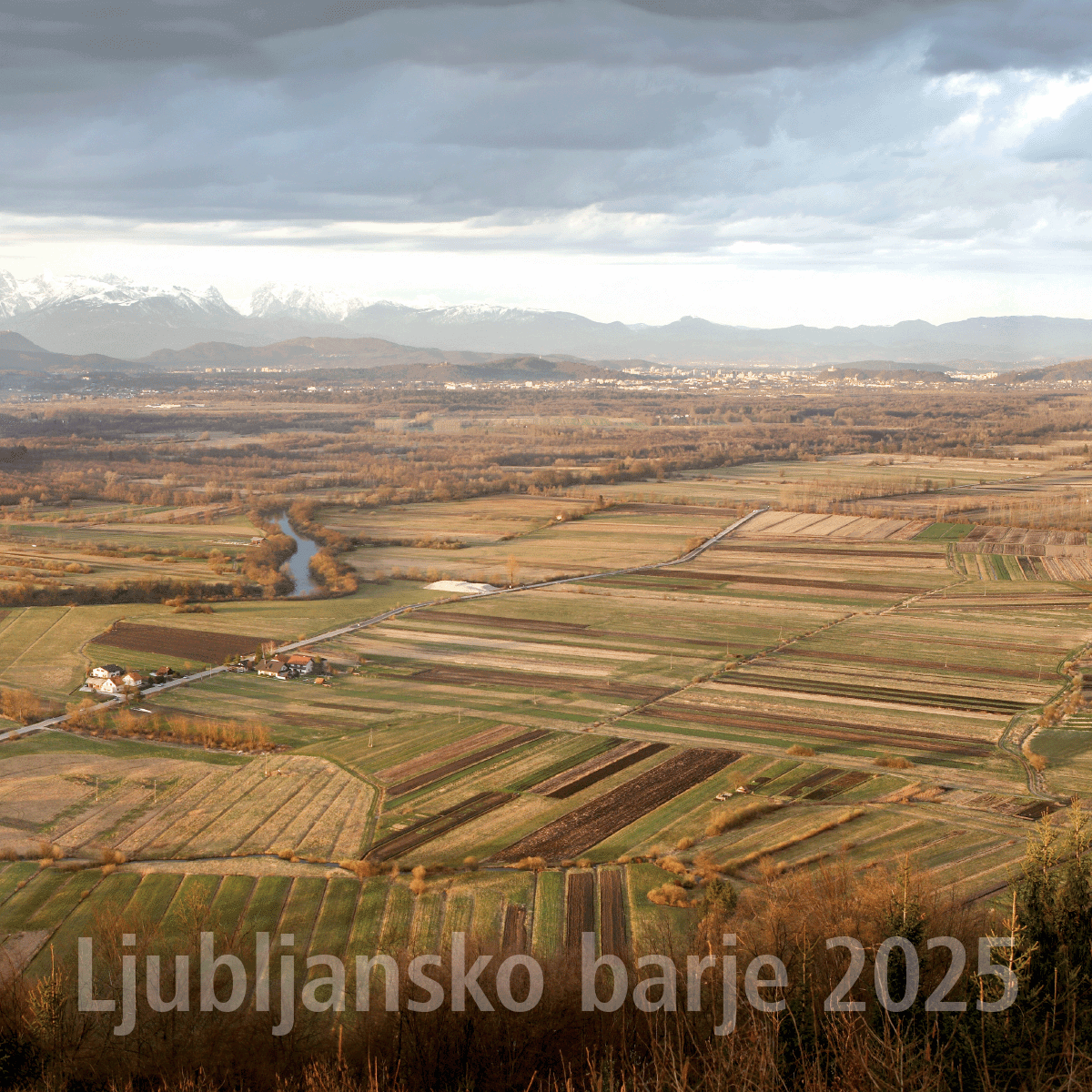 Art.100004 - Koledar BORI_stenski - LJUBLJANSKO BARJE: 300x300 mm - kvadrat, spirala sredina